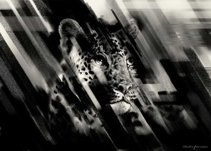 Whispers of the Wild