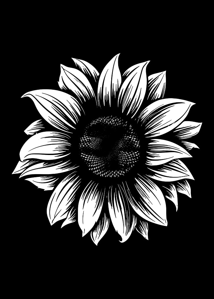 Monochrome Sunflower Illustration