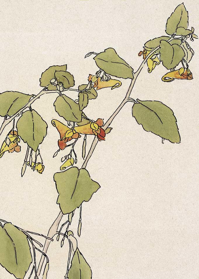 Vintage Floral Illustration with Green Leaves