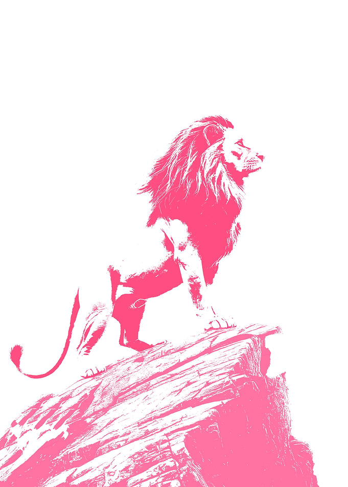 The Lion on The Rock