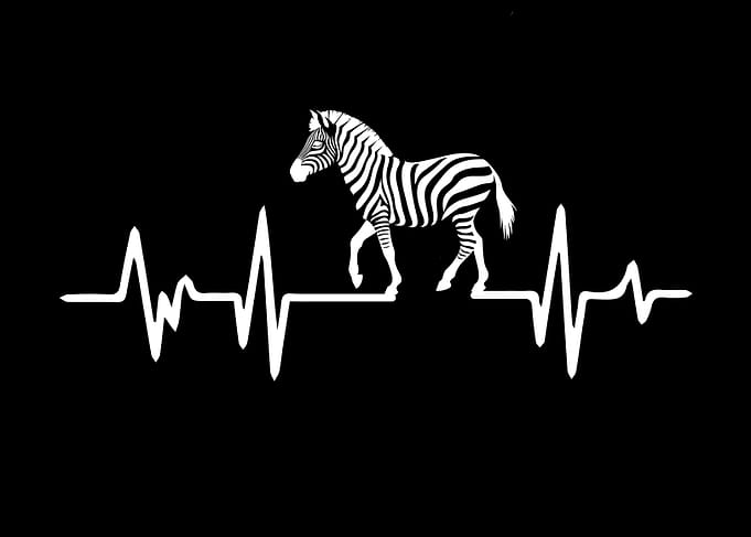 Zebra Heartbeat Graphic