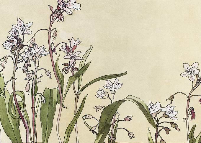 Floral Watercolor Painting with Delicate Flowers