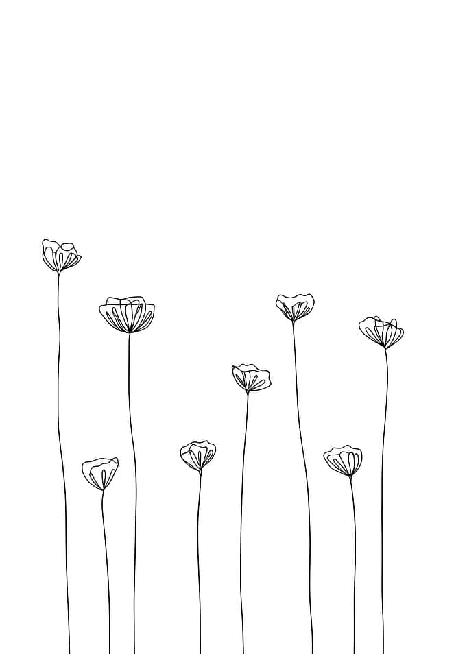 Many Flowers Minimalist Line Art