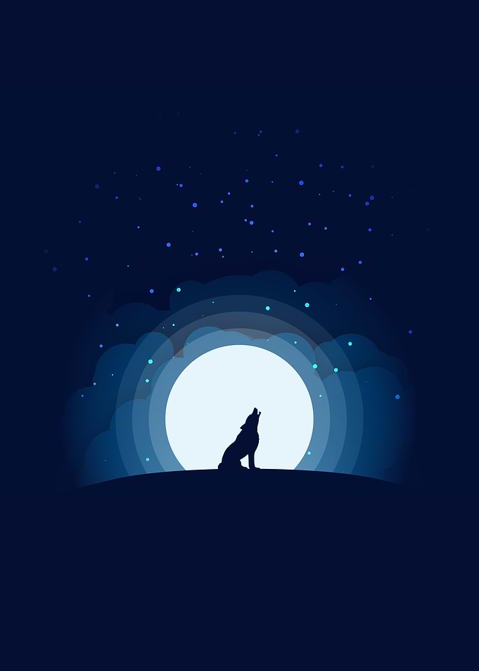 Wolf Howling at the Moon