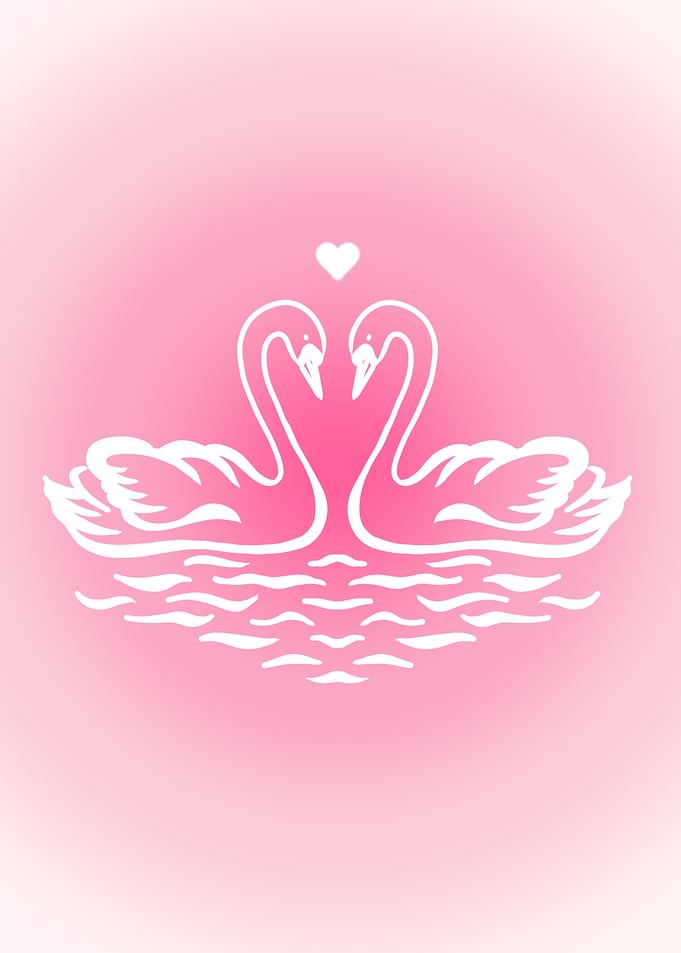 Baby Swans