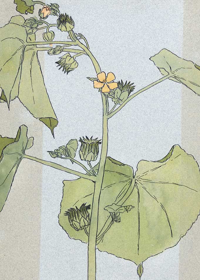 Floral Botanical Illustration with Yellow Flower