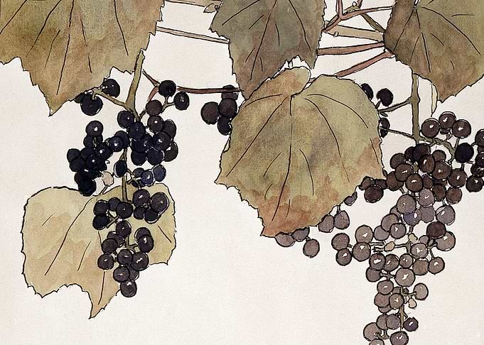 Watercolor Frost Grape