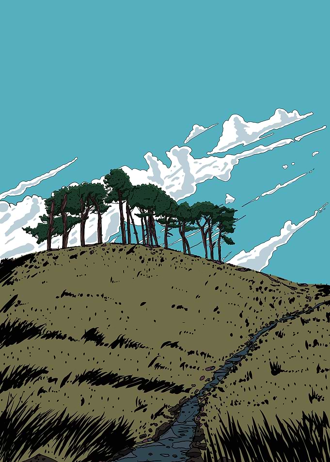 Hilltop Trees and Stream Illustration