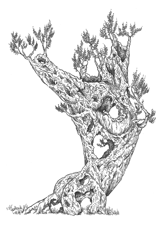 Mother Nature