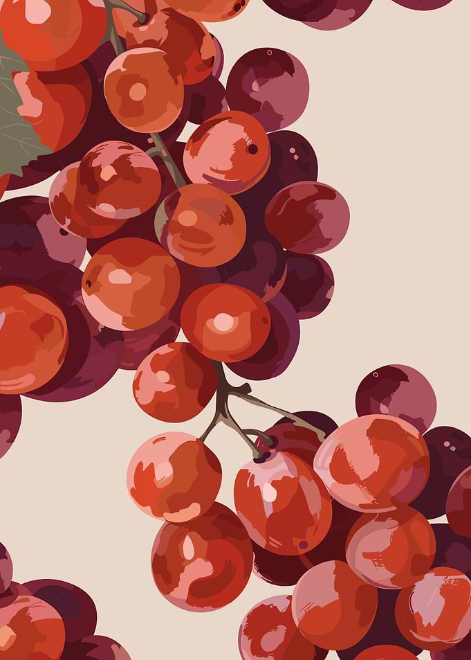 Red Grapes Illustration