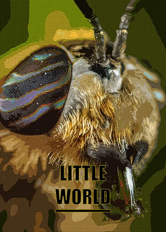 Macro Bee 'Little World' Art