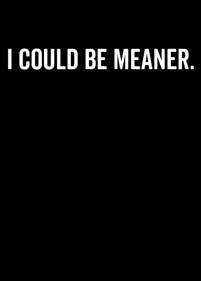 I Could Be Meaner Text Art
