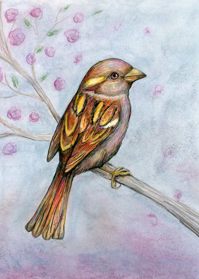 Sparrow on Branch with Floral Background