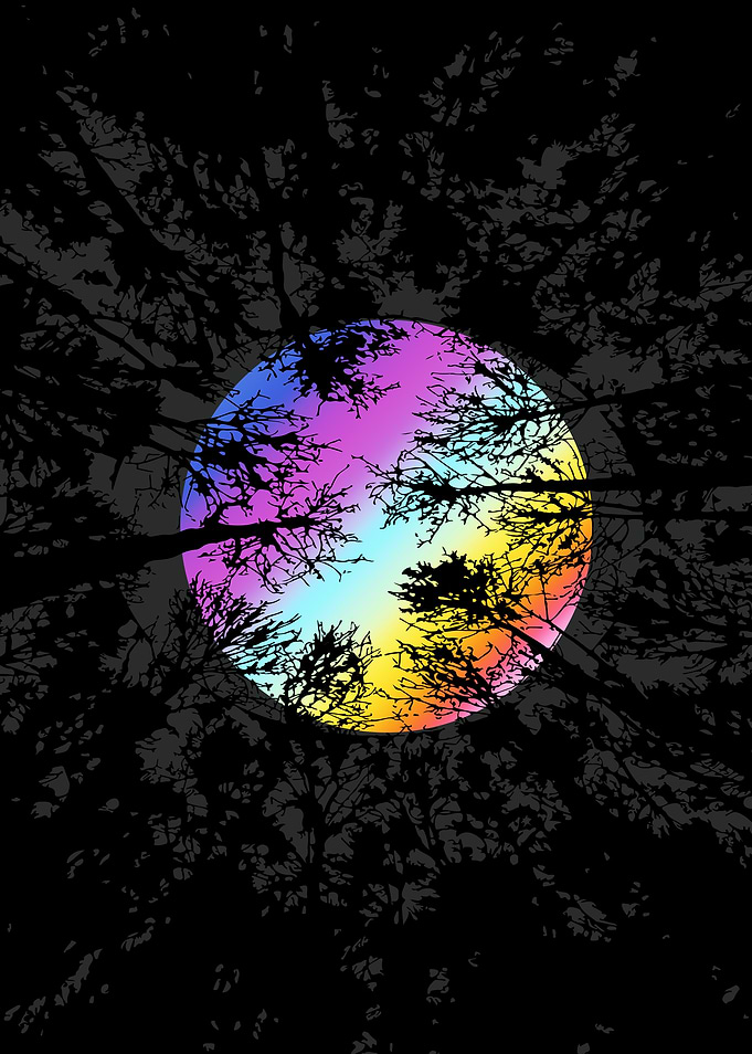 Rainbow Moon Through Trees