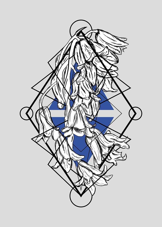Bluebell geometric space