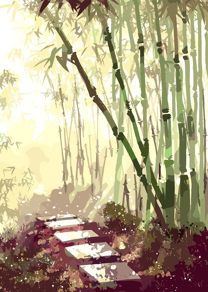 Bamboo Forest Path