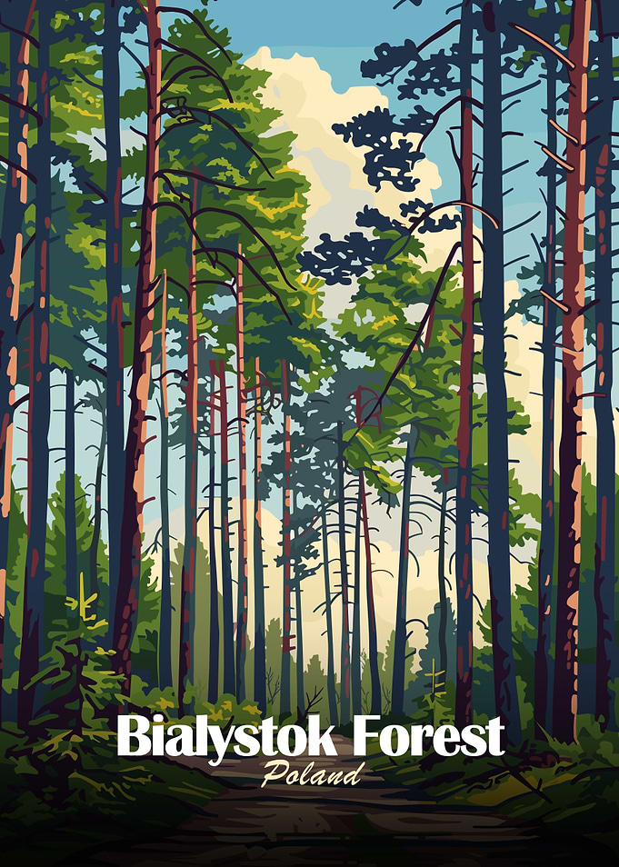 Bialystok Forest Poland Art Print
