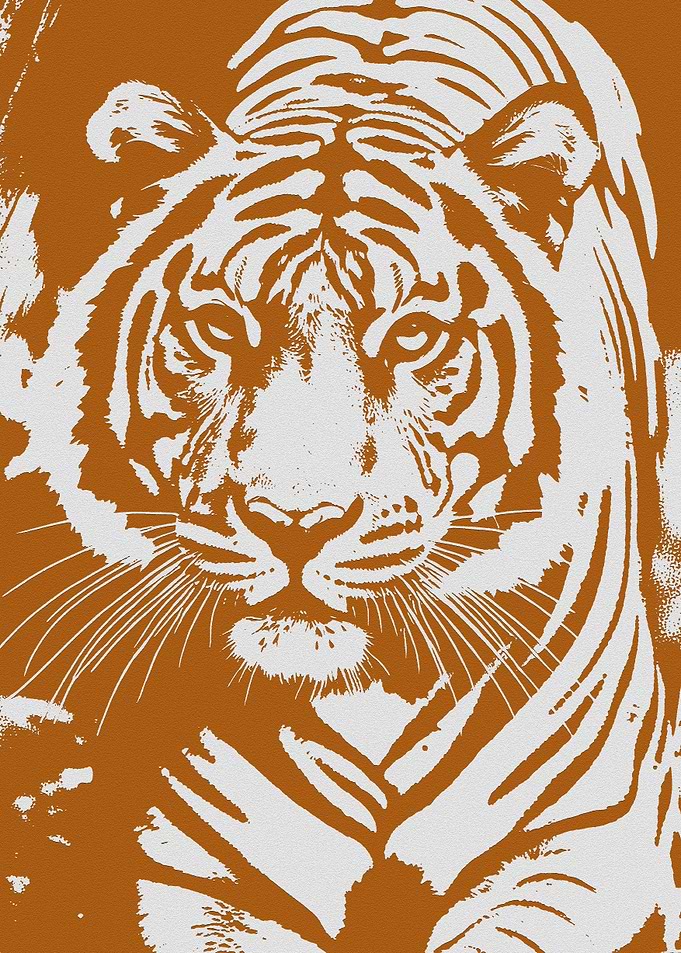 Tiger Portrait in Brown and White
