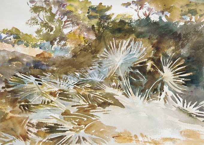 Watercolor Painting of Palm Trees