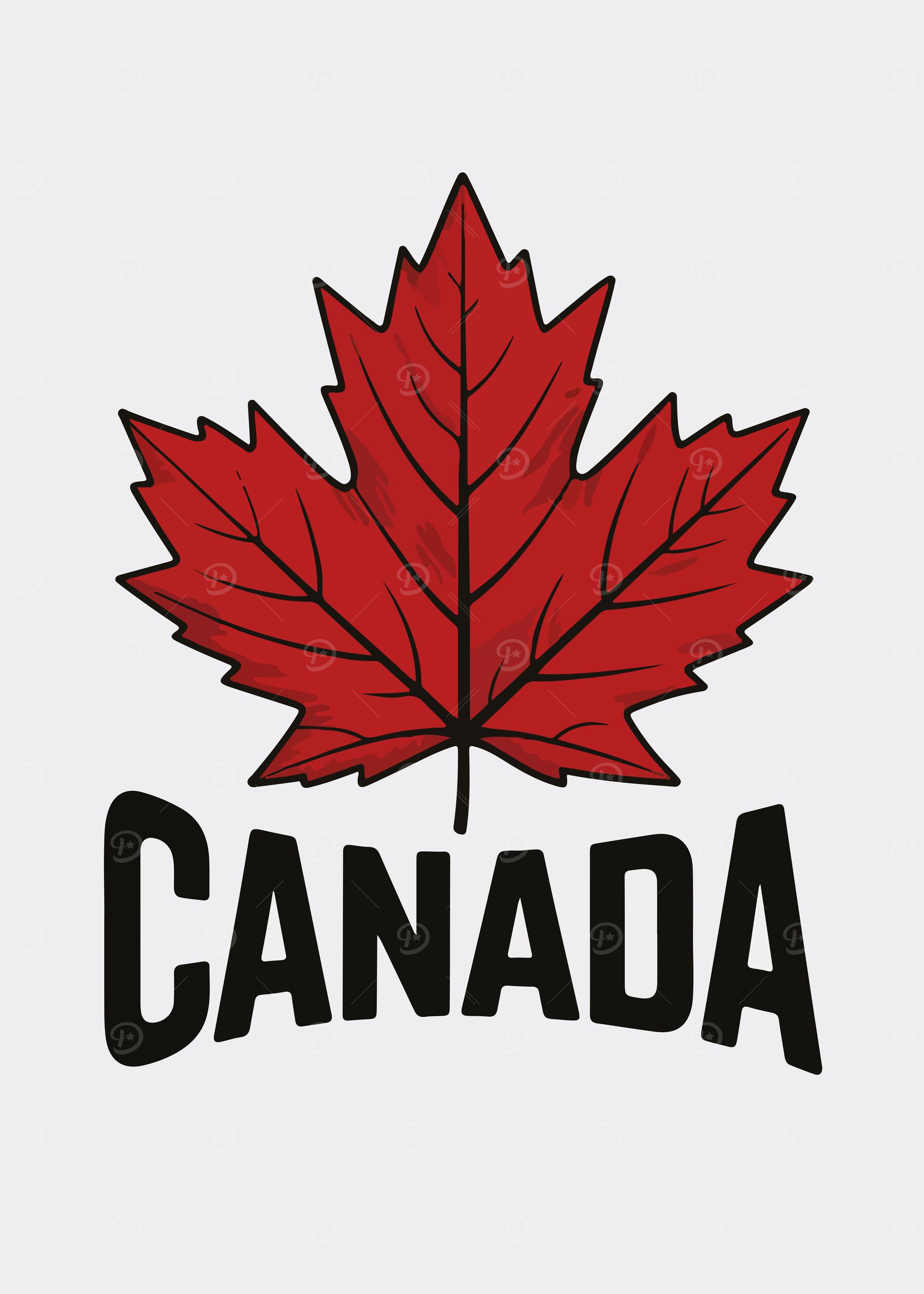 Canada Maple Leaf Illustration
