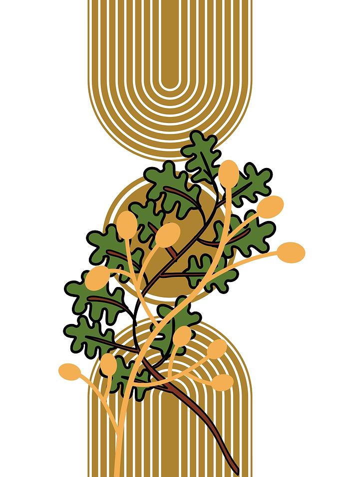 Abstract Botanical Illustration with Geometric Shapes