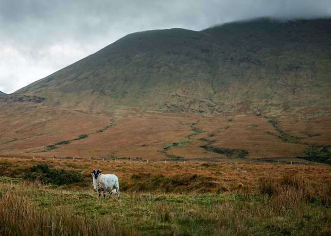 The Watcher of Brandon Valley