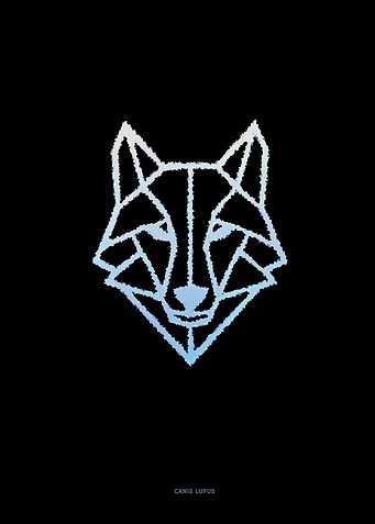 Geometric Wolf Head on Black