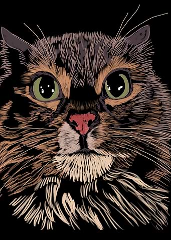'Miffed Cat' Jamie's Hand-Drawn Cat Collection