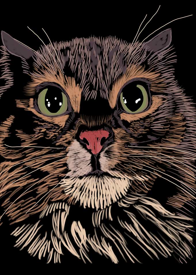 'Miffed Cat' Jamie's Hand-Drawn Cat Collection