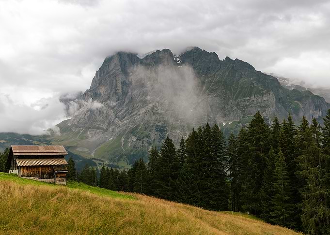 Mountain Cabin Landscape