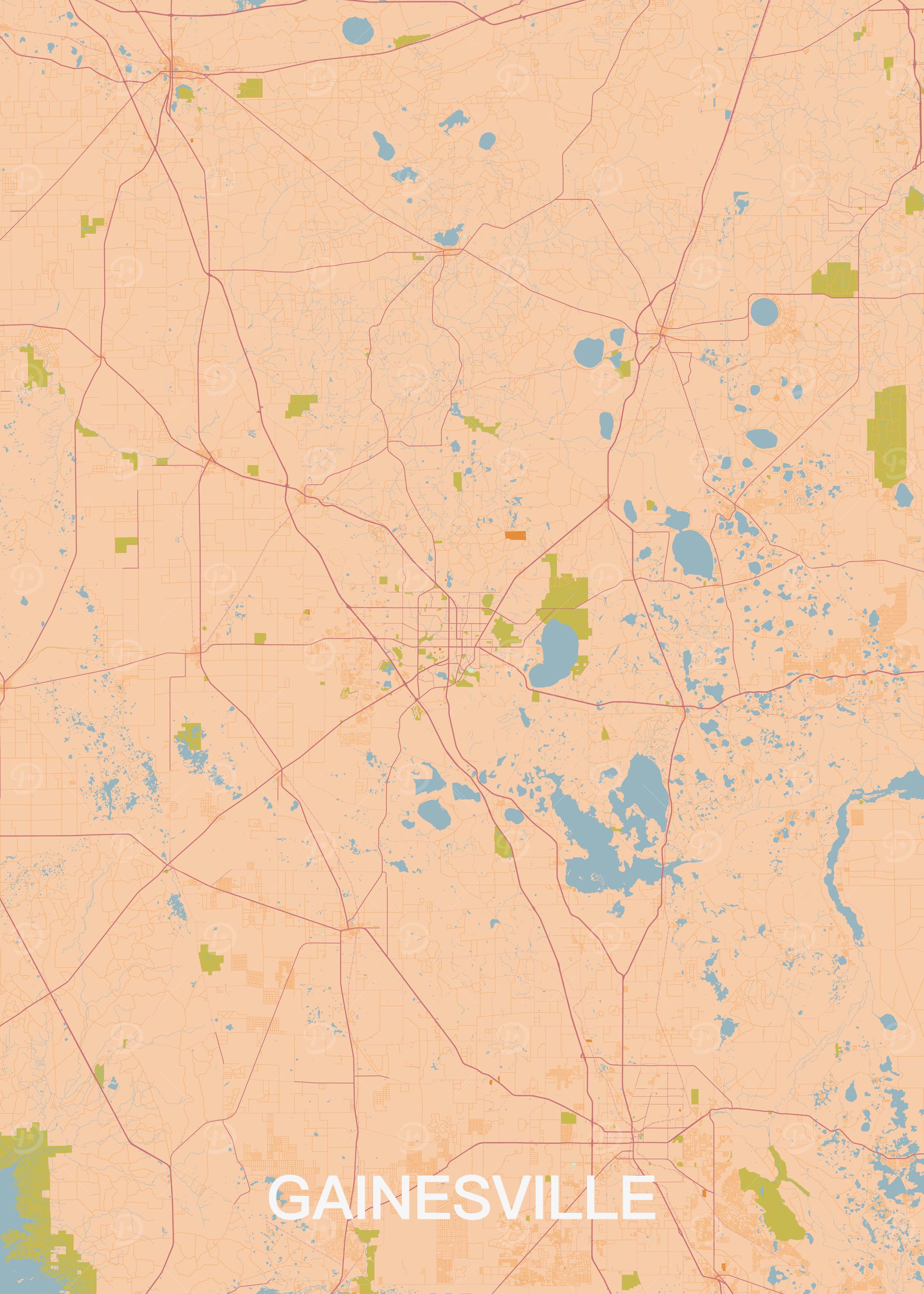 Gainesville Florida City Map