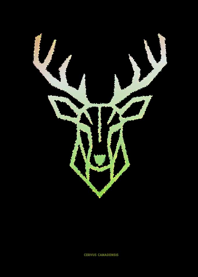 Geometric Deer Head Illustration