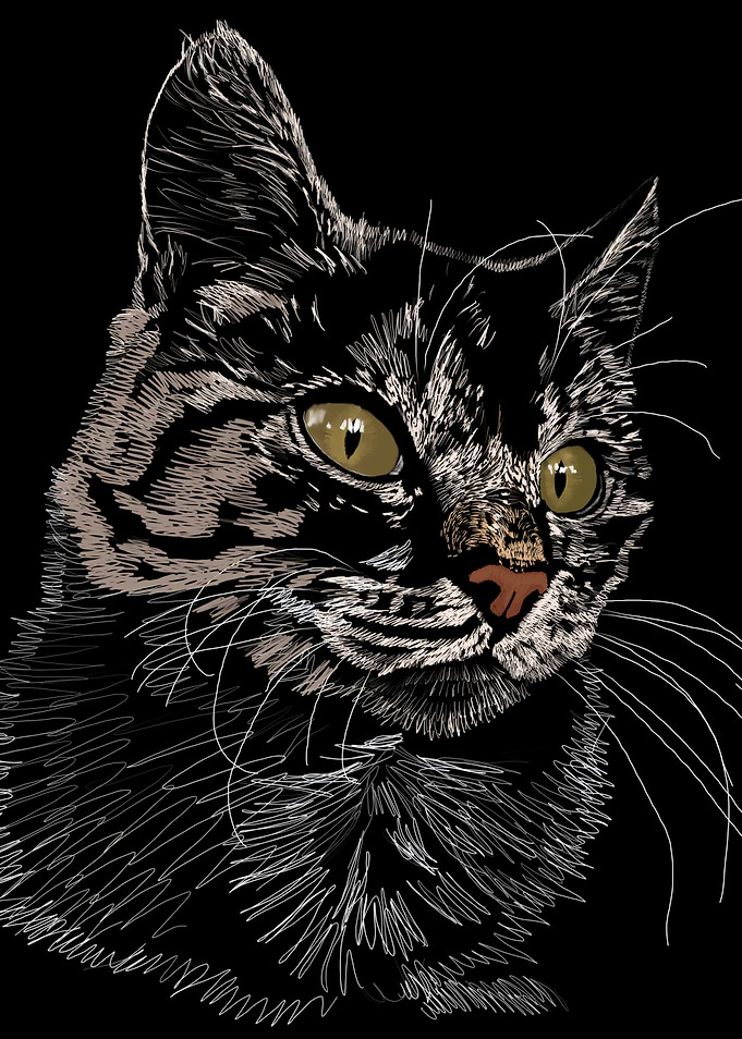 'Toes' Jamie's Hand-Drawn Cat Collection