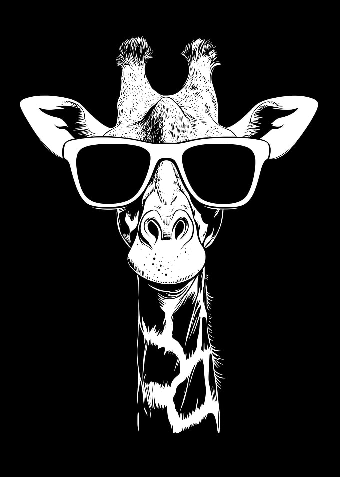 Cool Giraffe with Sunglasses