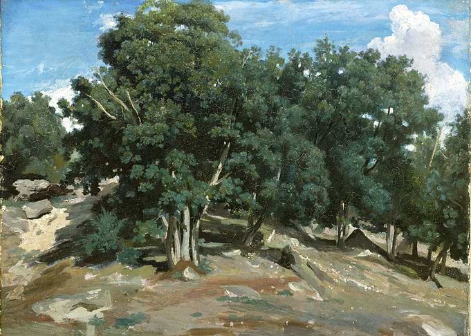 Forest Landscape Painting