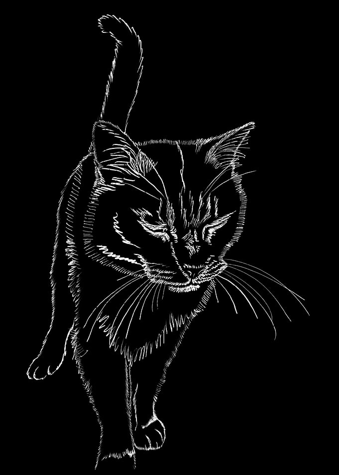 'Happy Puff Cat' Jamie's Hand-Drawn Cat Collection