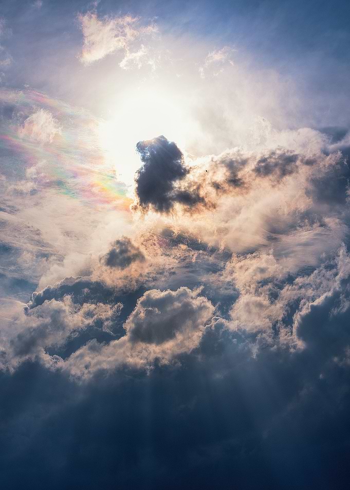 Lion in the Sky