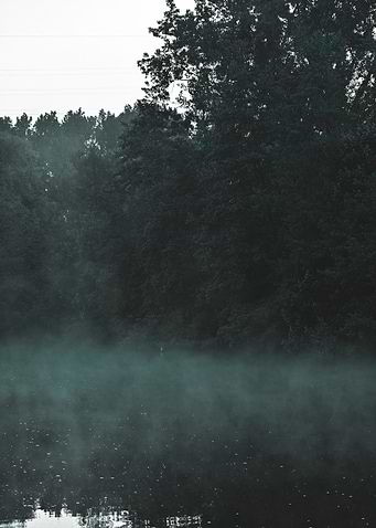 Misty Lake Landscape