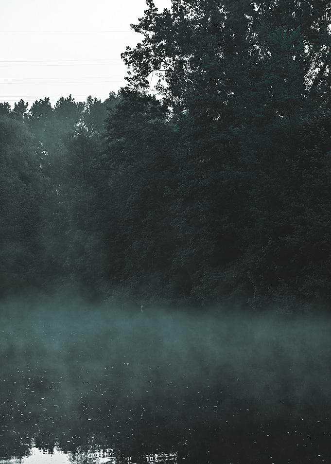 Misty Lake Landscape