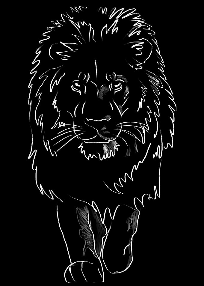 'King Cat' Jamie's Hand-Drawn Cat Collection