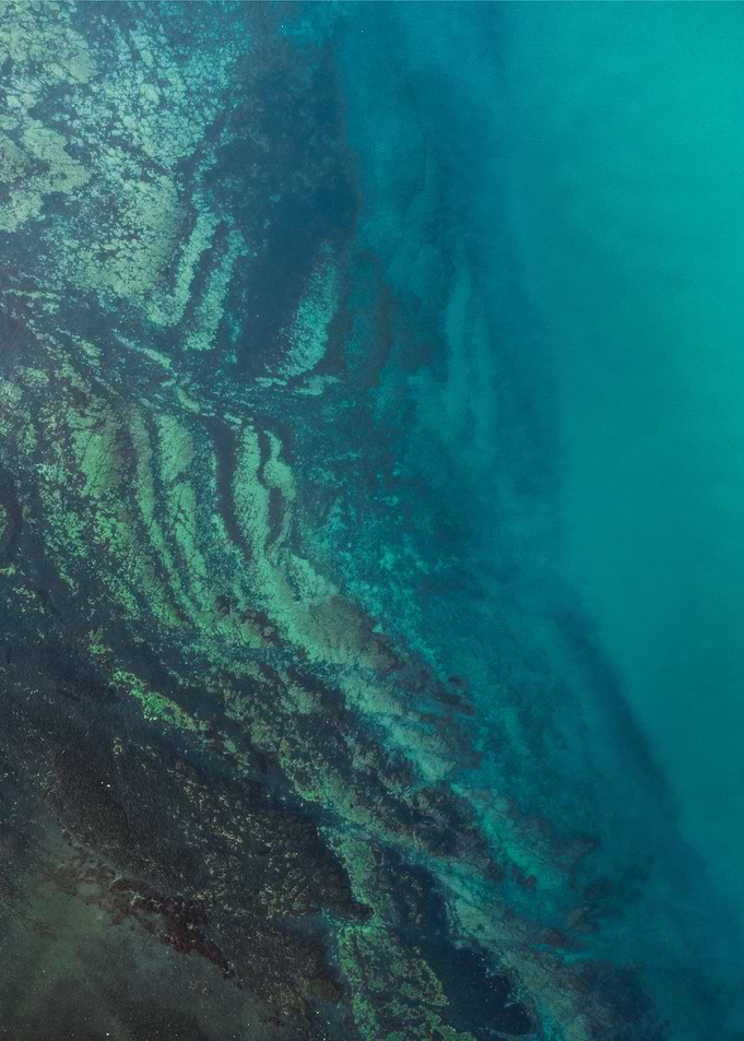 Coastals water of Normandy