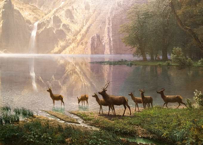 Deer by Lake Painting