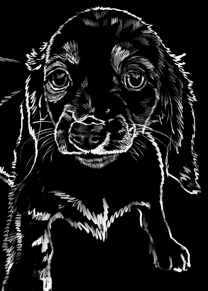 'Small Hound Pup' Jamie's Hand-Drawn Dog Collection