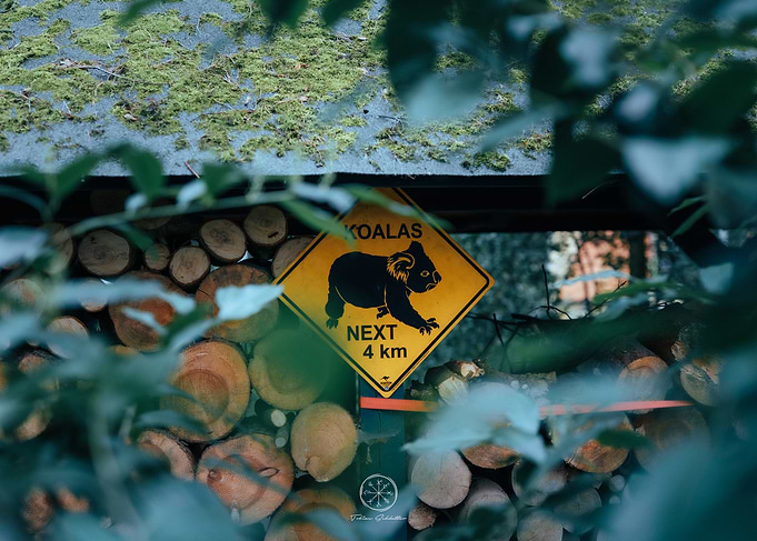 Koalas Next 4 km Sign