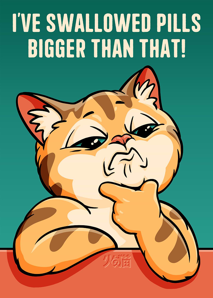 Skeptical Cat with Funny Toilet Joke