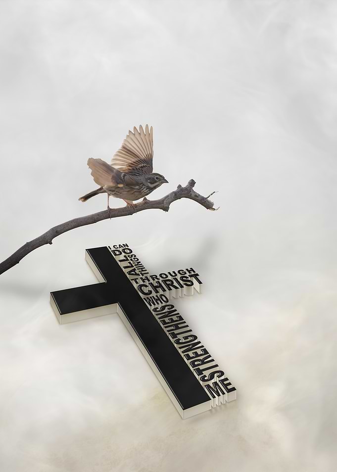 Through Christ Bird Christian Faith Bible Verse