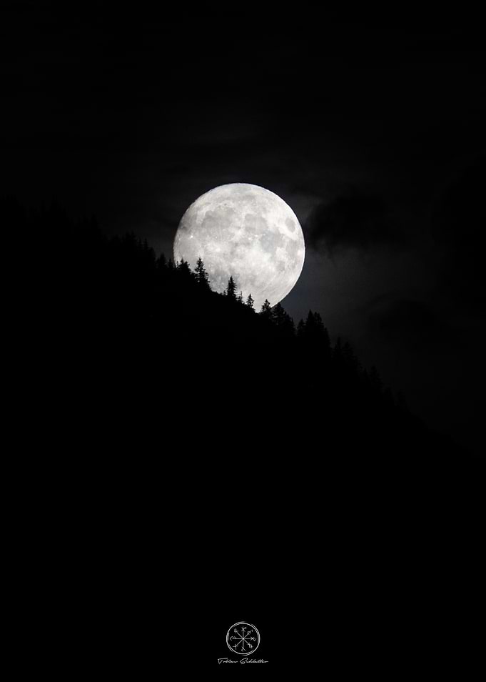 Full Moon Over Forest Silhouette