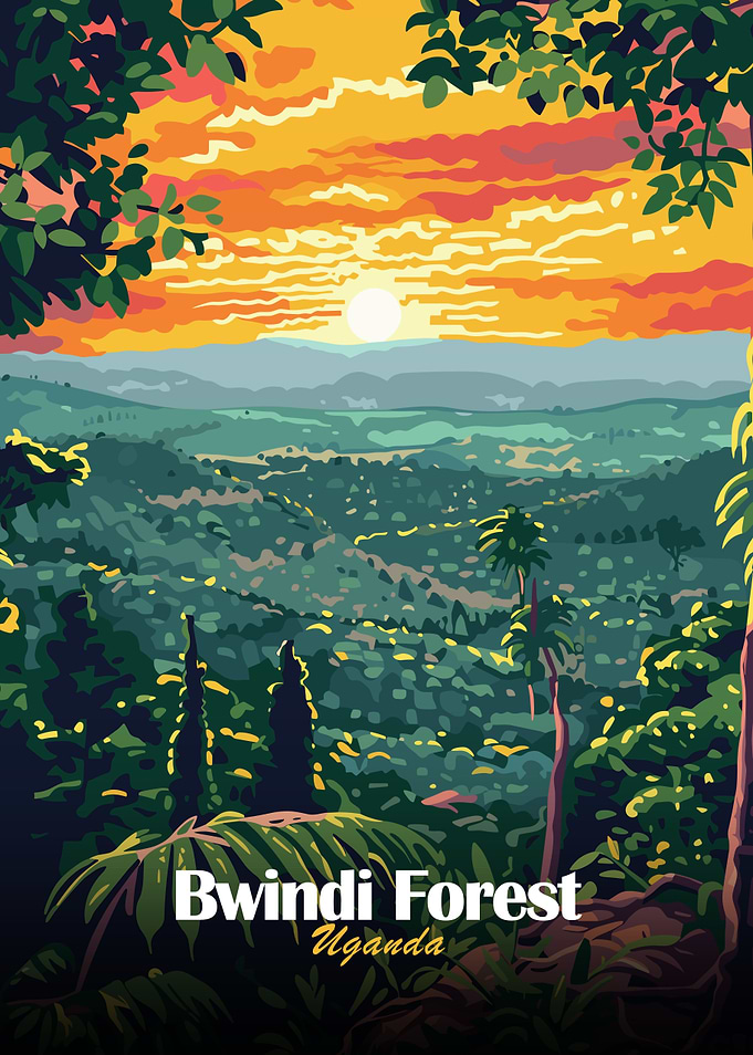 Bwindi Forest Uganda Landscape Art