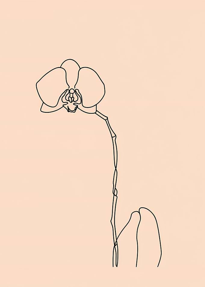 Orchid Flower Minimalist Line Art