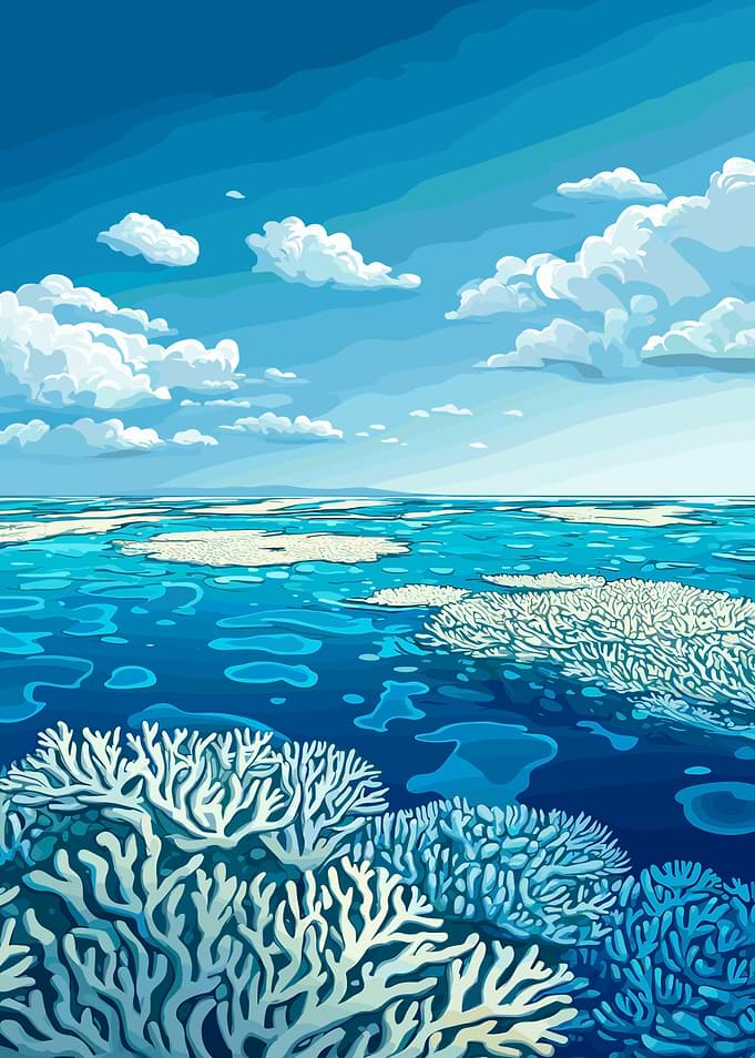 Coral Reef Under Blue Sky